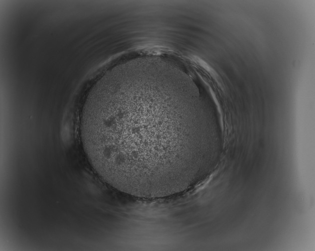 X0000089700775200706281454