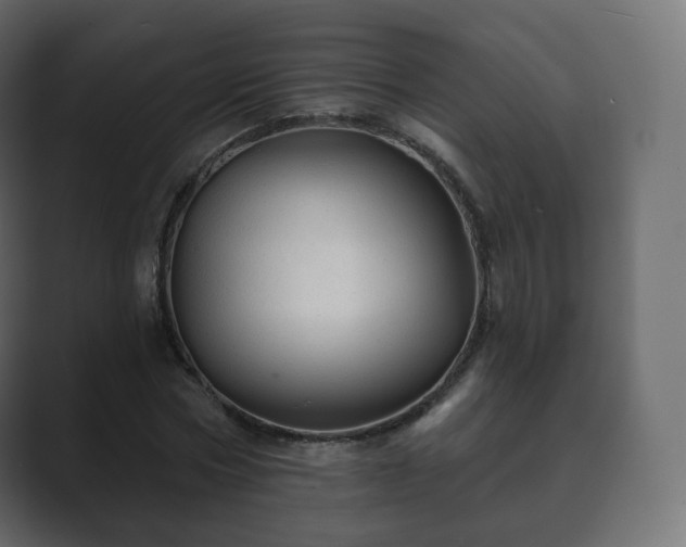 X0000089700778200706281454