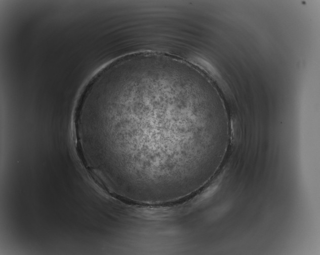 X0000089700780200706281454