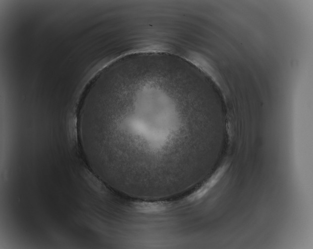 X0000089700781200706281454