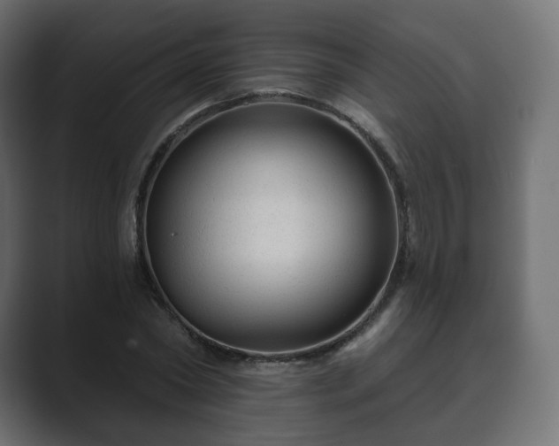 X0000089700782200706281454