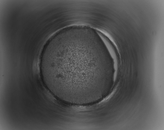 X0000089700783200706281454