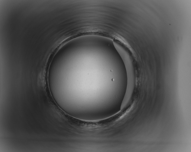 X0000089700786200706281454