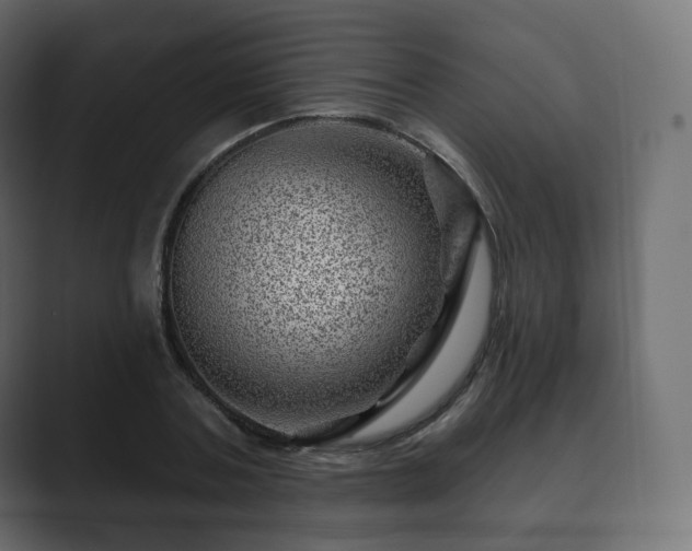 X0000089700787200706281454