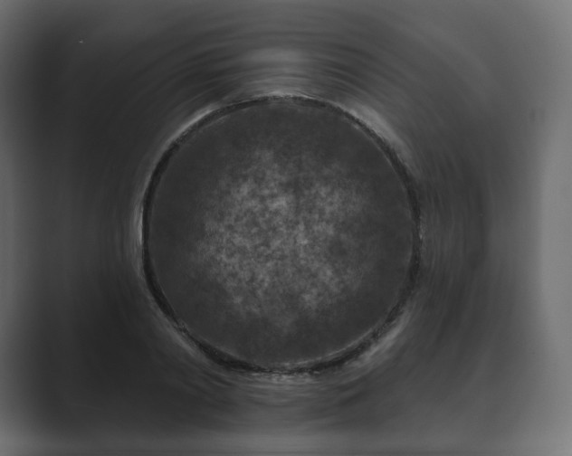 X0000089700790200706281454