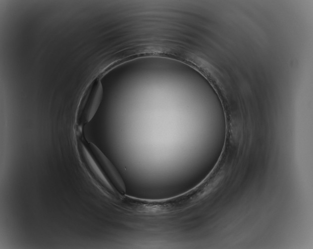 X0000089700794200706281454