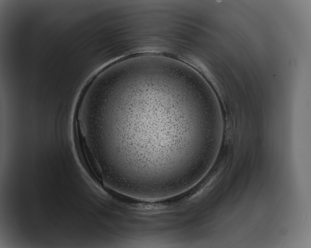 X0000089700795200706281454