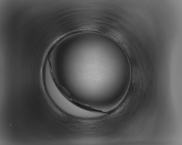 X0000089700796200706281453