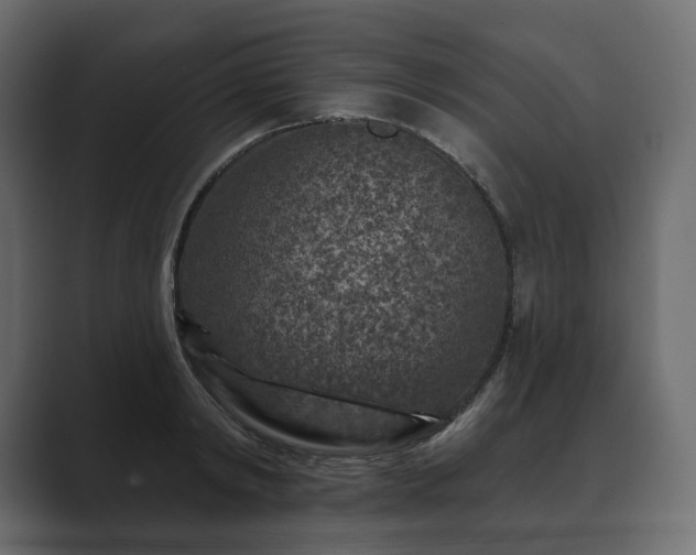 X0000089700798200706281453