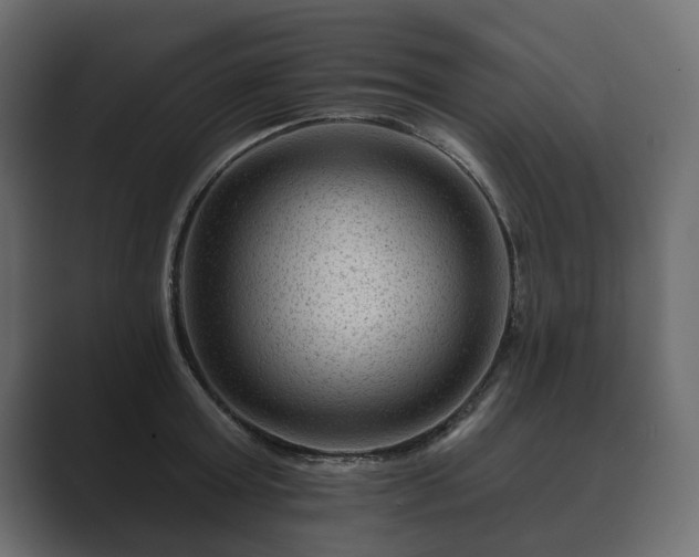 X0000089700803200706281453