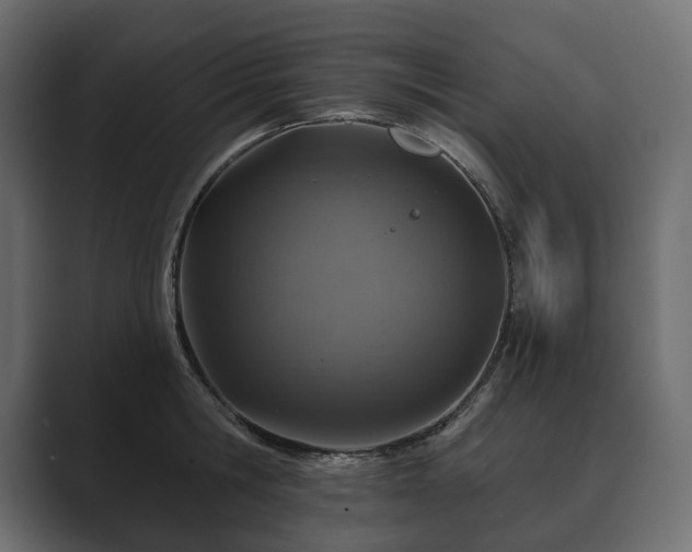 X0000089700806200706281453