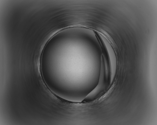 X0000089700812200706281453