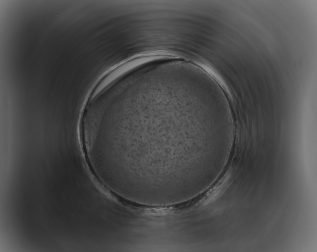 X0000089700813200706281453