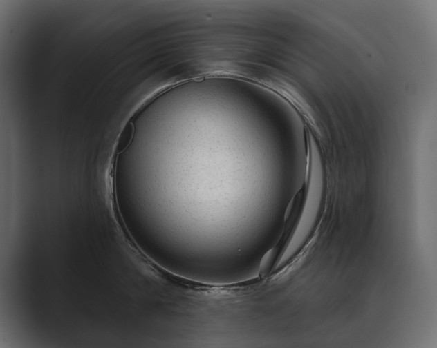 X0000089700814200706281453