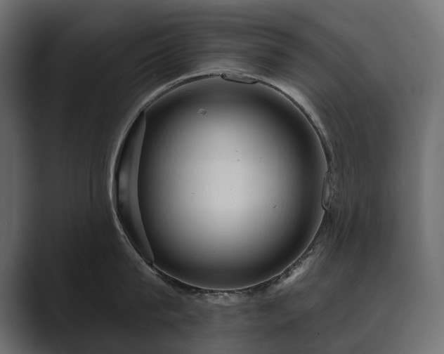 X0000089700815200706281453