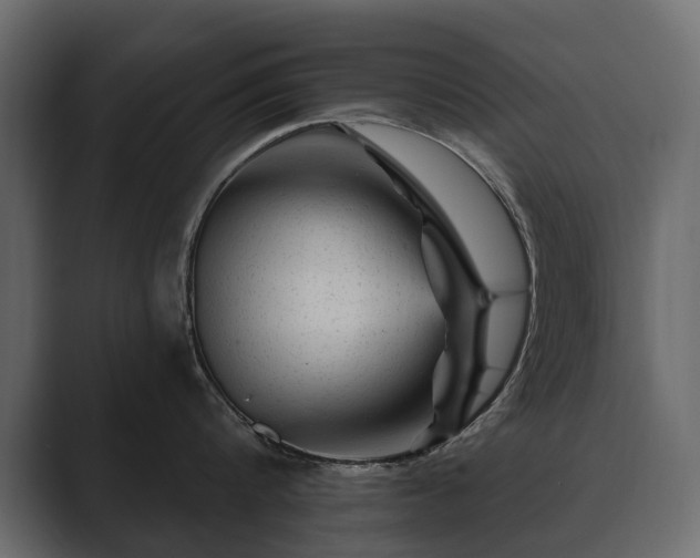 X0000089700816200706281453