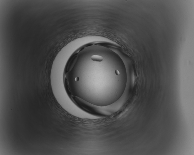 X0000089700818200706281452