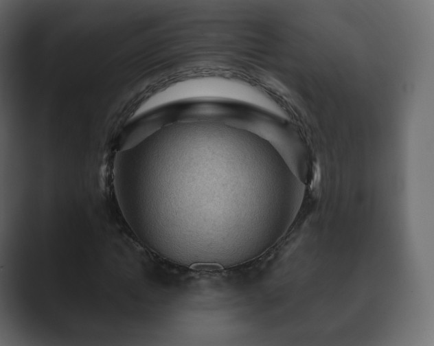 X0000089700822200706281453