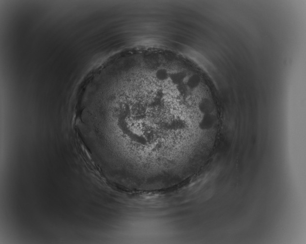 X0000089700823200706281453