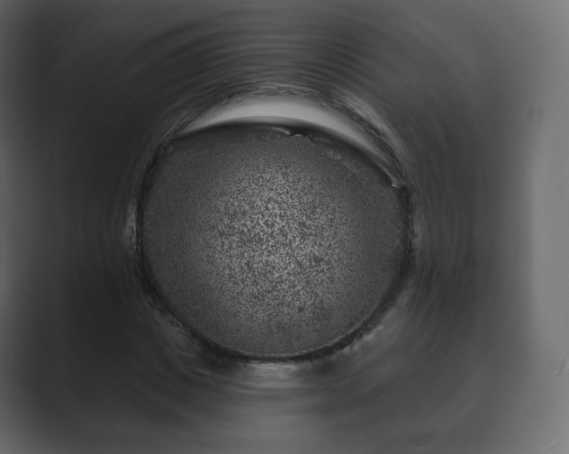 X0000089700825200706281453