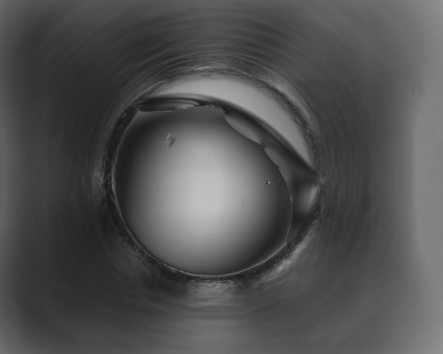 X0000089700826200706281453