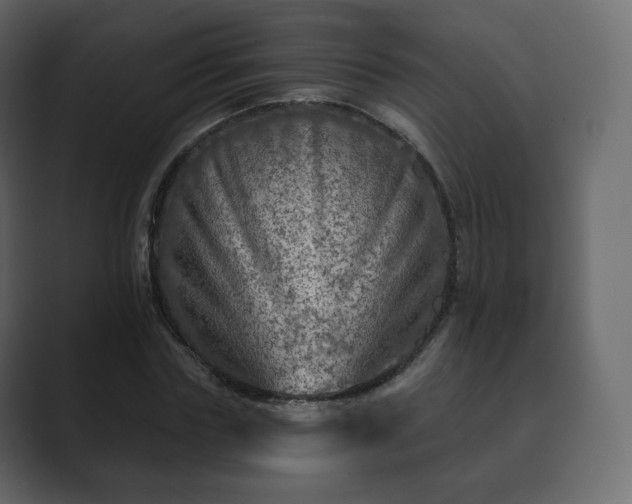 X0000089700827200706281453