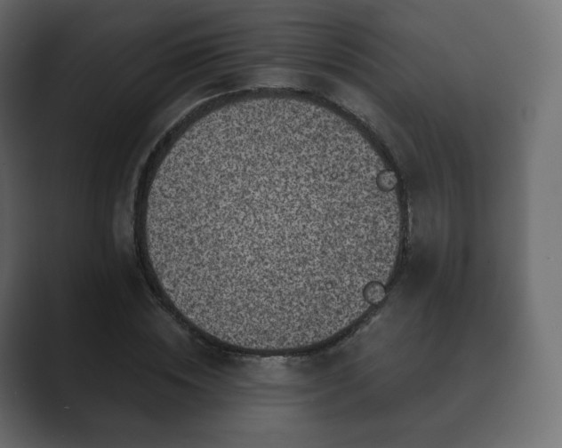 X0000089700828200706281453