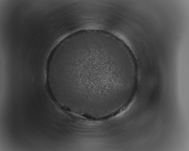 X0000089700829200706281453