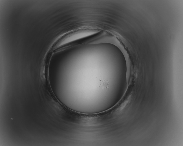 X0000089700830200706281453