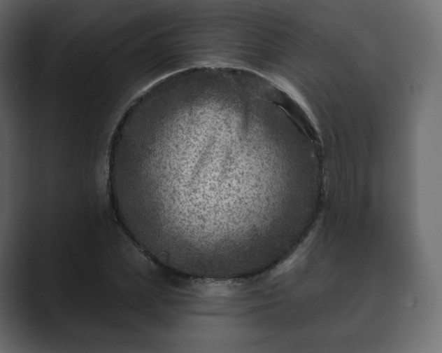 X0000089700831200706281453