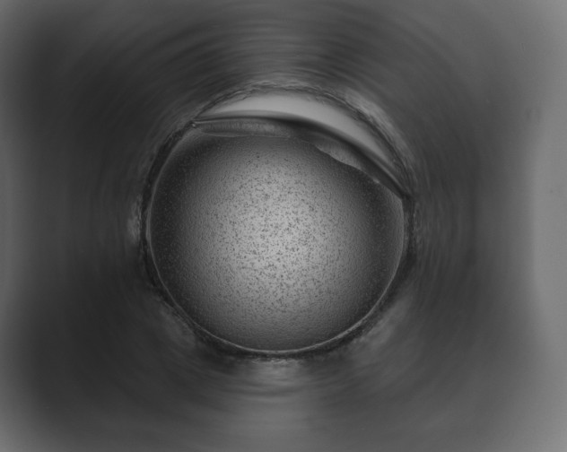 X0000089700833200706281453