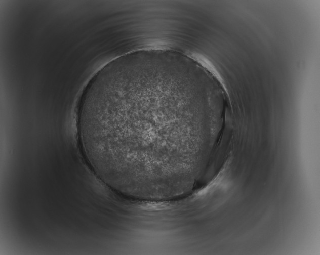 X0000089700835200706281453