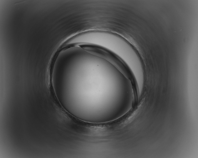 X0000089700838200706281453