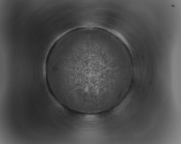 X0000089700839200706281453