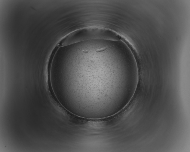 X0000089700840200706281453