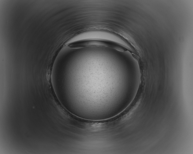 X0000089700841200706281453