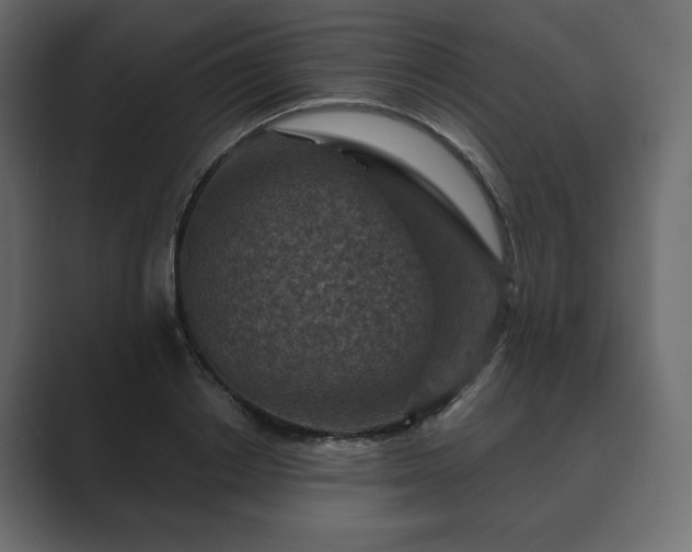 X0000089700842200706281453