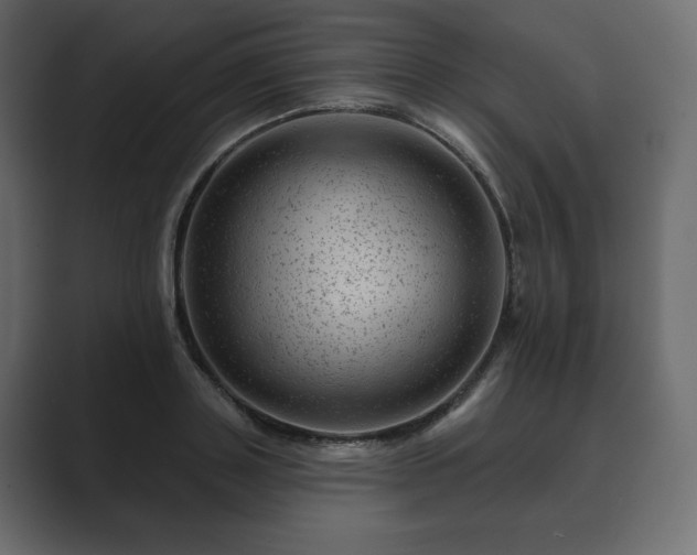 X0000089700843200706281453