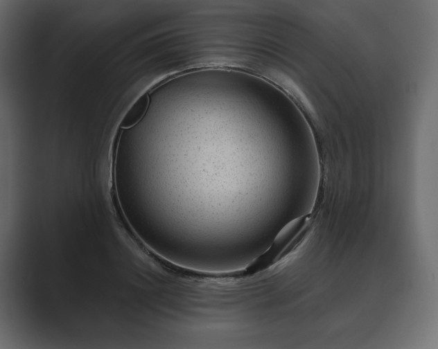 X0000089700844200706281453