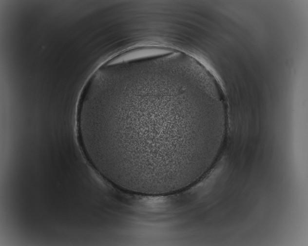 X0000089700845200706281453