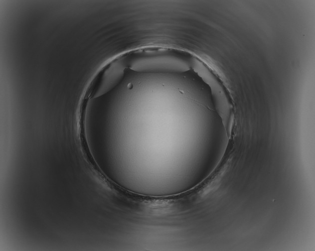 X0000089700846200706281453