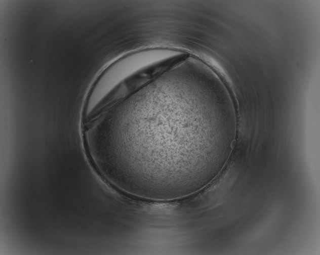 X0000089700847200706281453