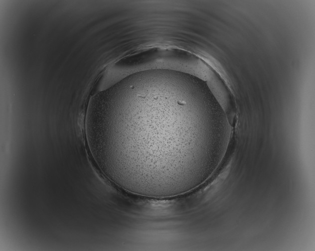 X0000089700849200706281453