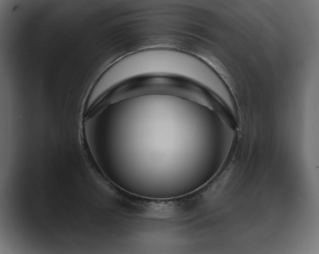 X0000089700850200706281453