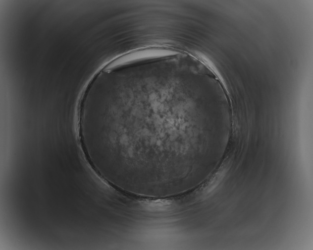 X0000089700851200706281453