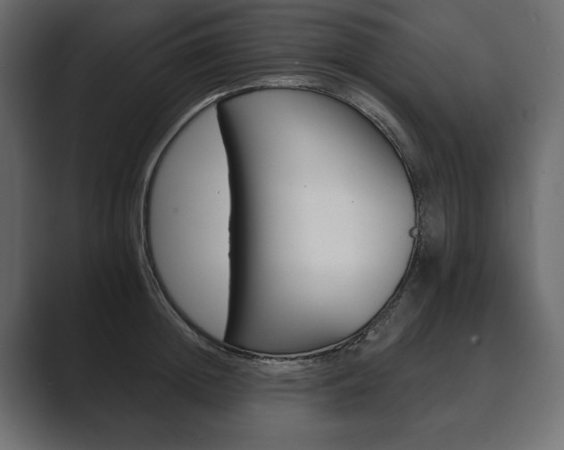 X0000089700852200706281453