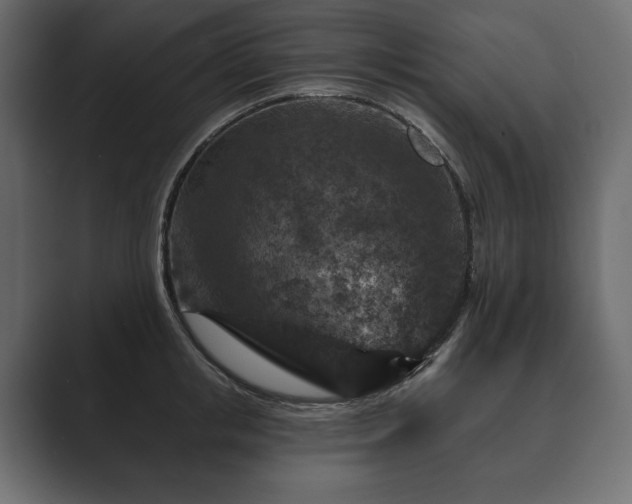 X0000089700853200706281453