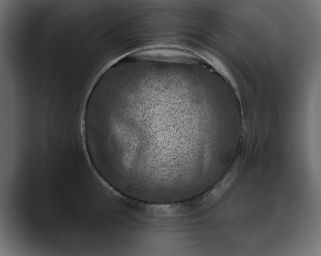 X0000089700855200706281453