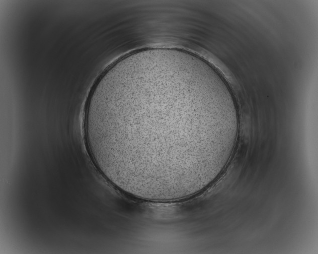 X0000089700856200706281453