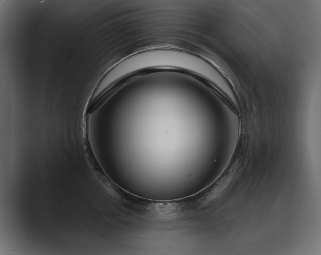 X0000089700858200706281453